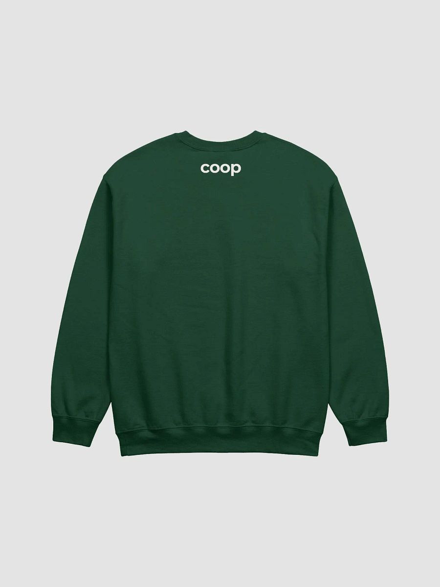 Coop Holiday Sweater product image (3)