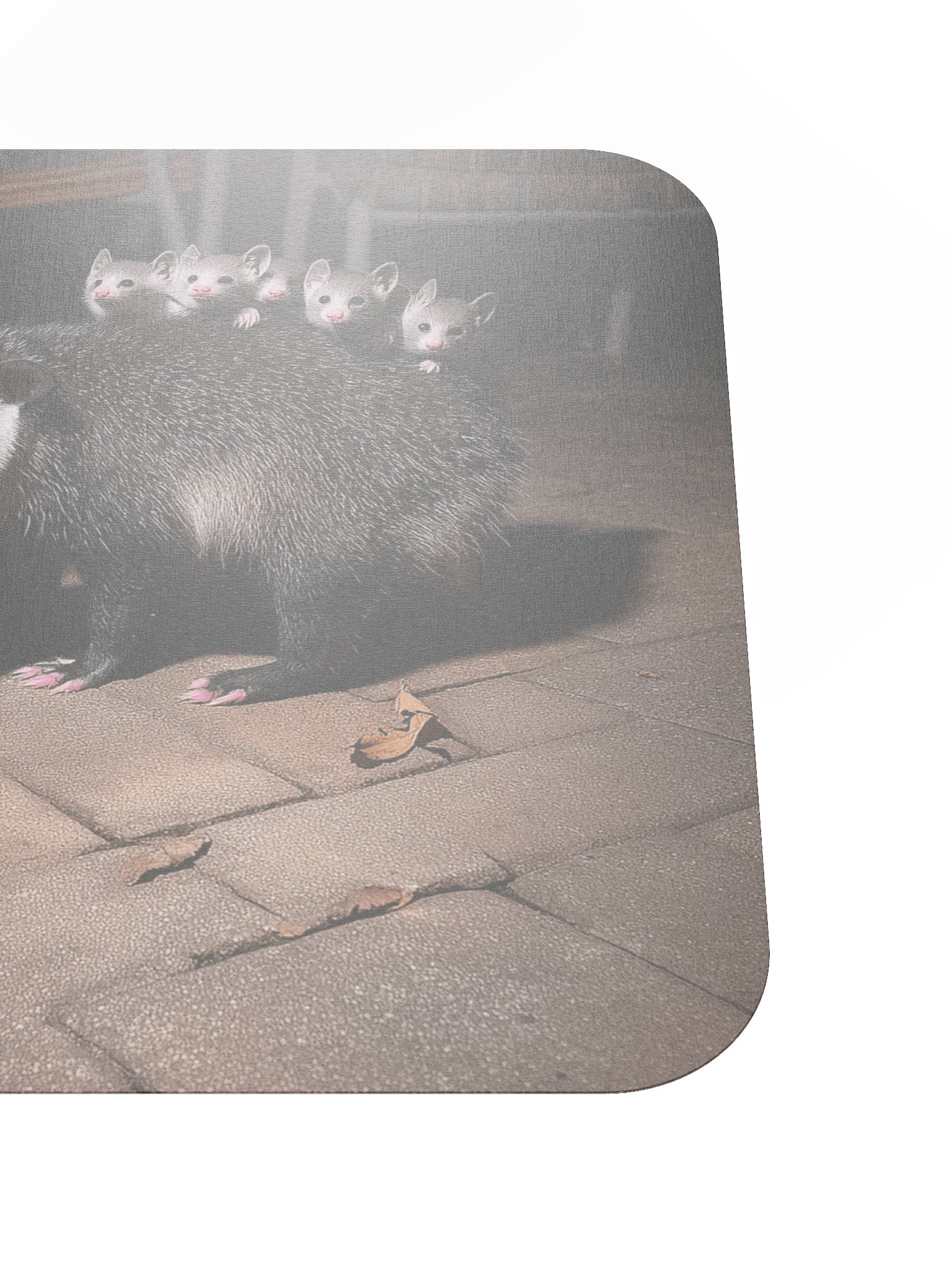 Cat meets opossum family Mouse Pad product image (5)