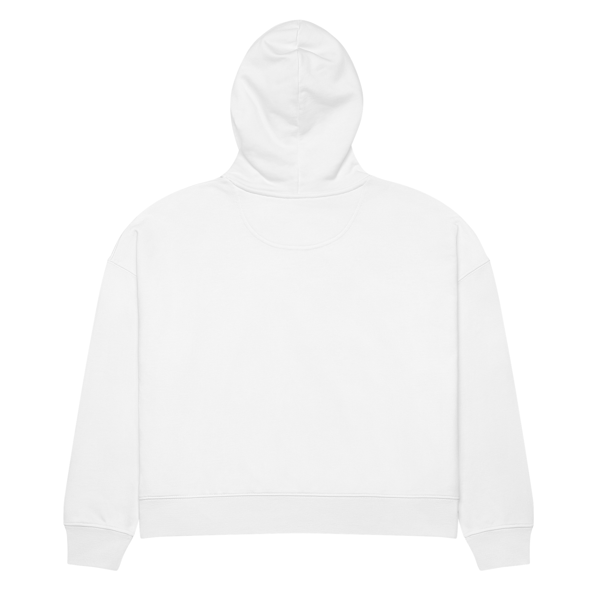 Retro Sunset Organic Hoodie product image (2)