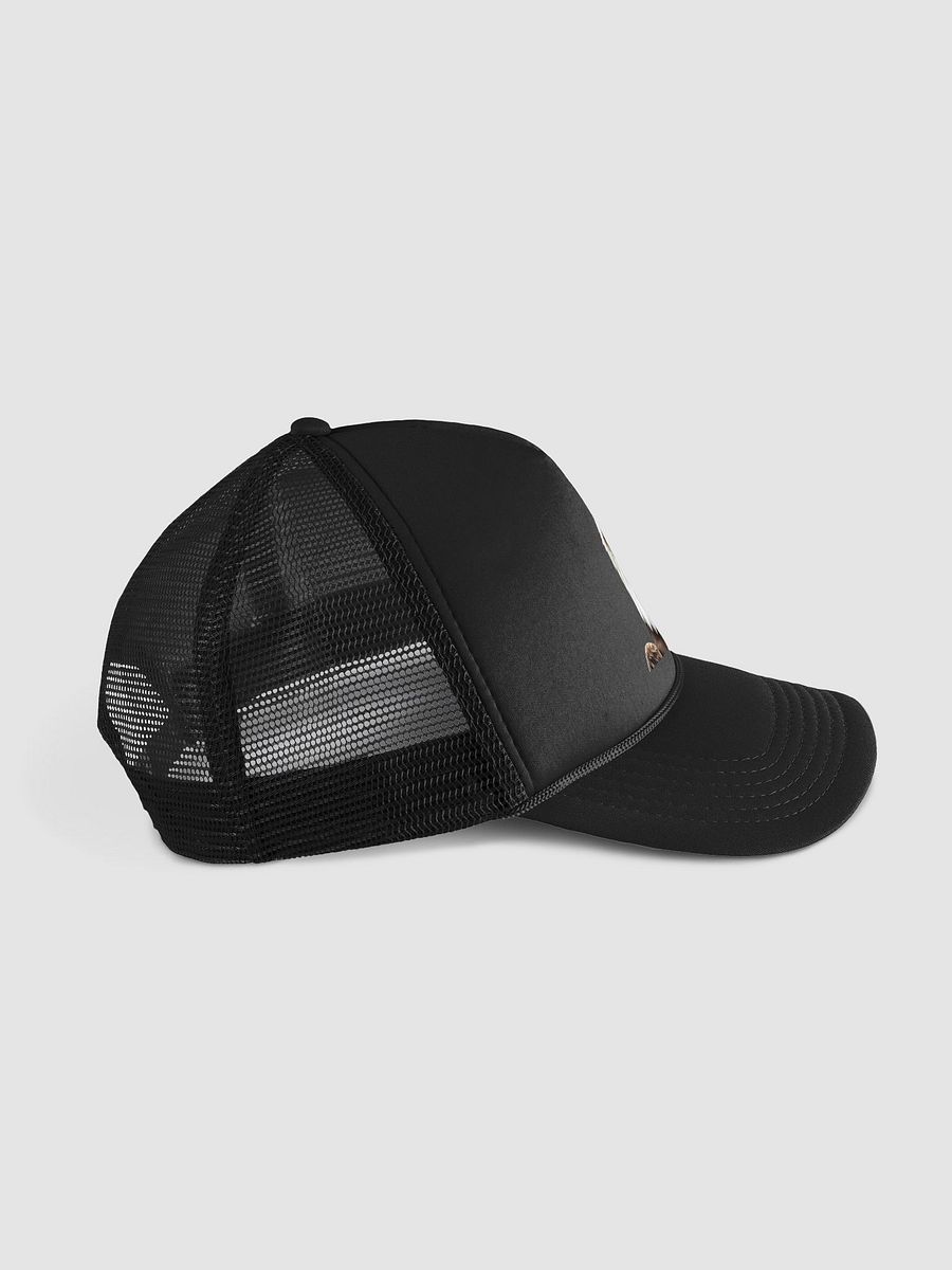 Soar with Majesty: The Leucistic Bald Eagle Valucap VC700 Foam Trucker Hat product image (3)