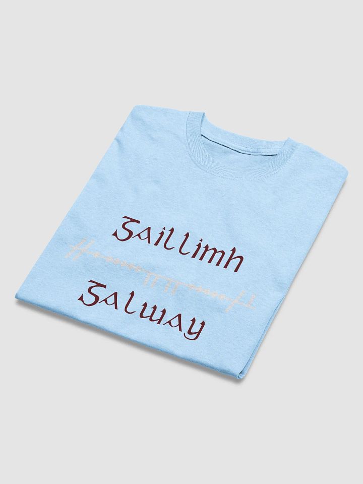 Galway/Gaillimh Scholastic style Ogham printed T-shirt product image (38)