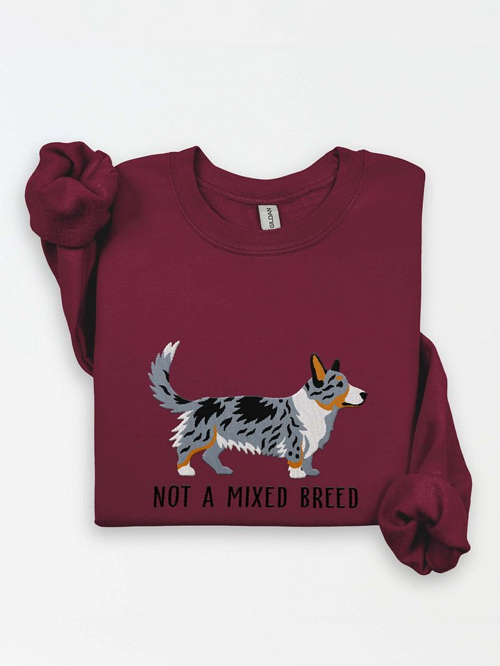Not a Mixed Breed Sweatshirt (Embroidered) of a Cardigan Welsh Corgi(Blue Merle Tricolor) product image (1)