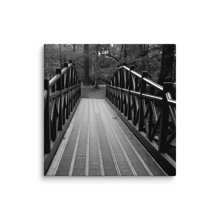 Stroll in the Forest product image (1)