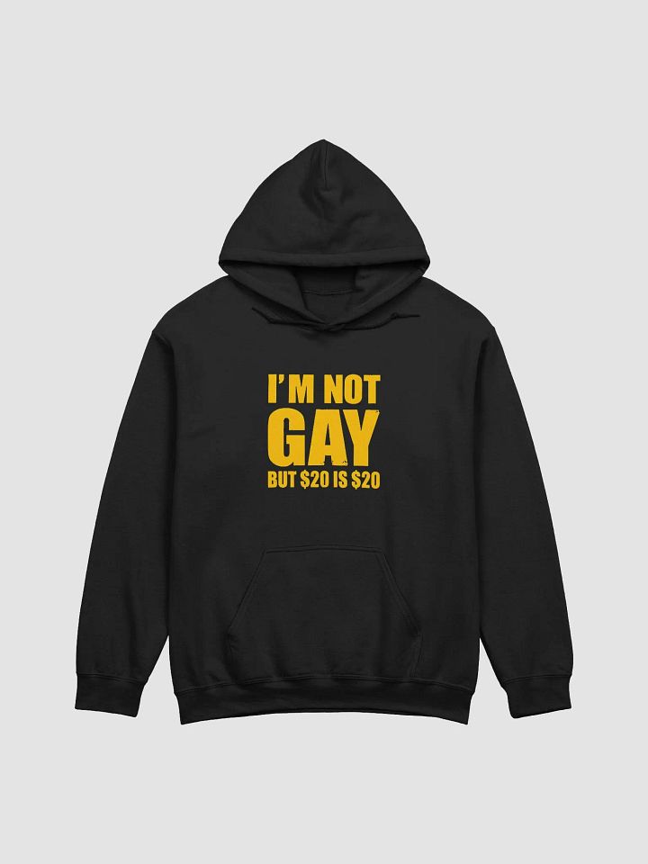 I'm Not Gay But $20 Is $20 Hoodie product image (1)