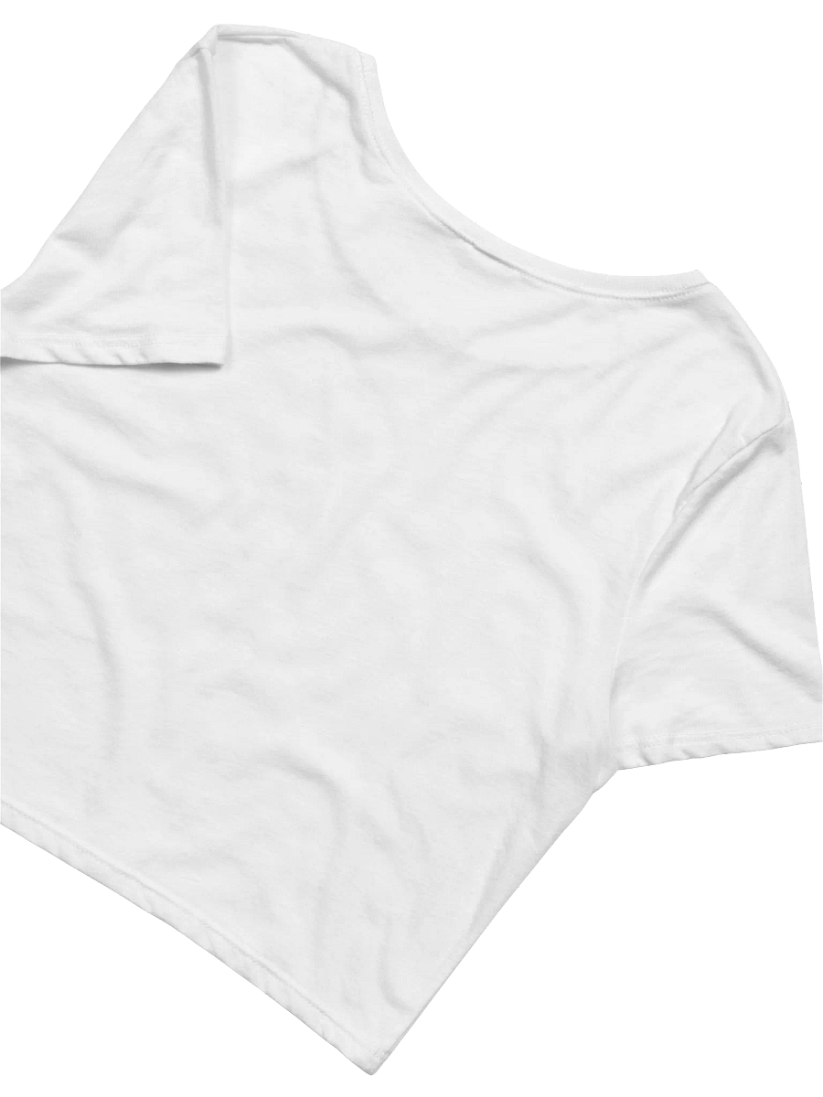 Heeee Yaw Crop Top - Blue product image (4)