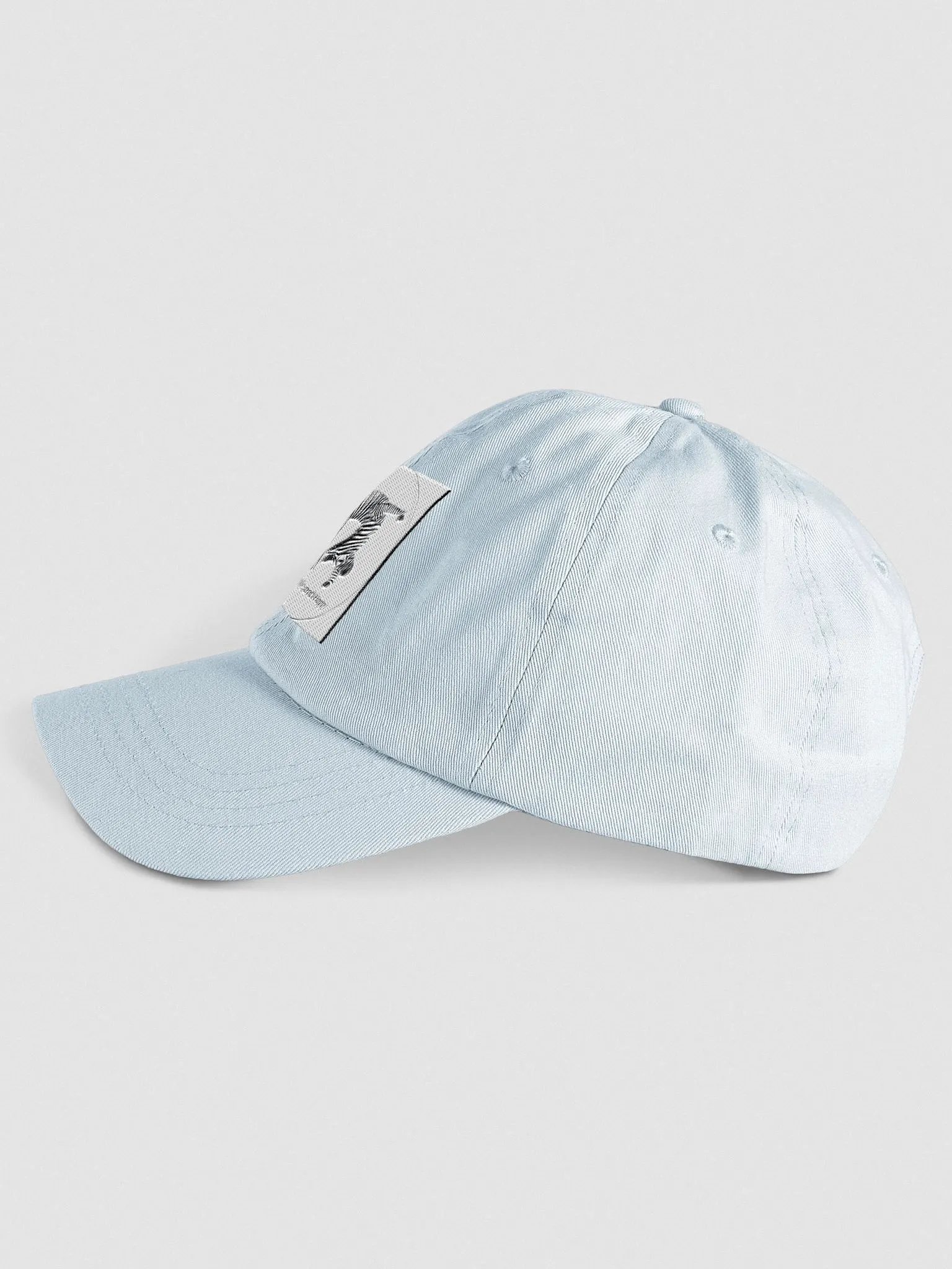Bendy Zebra Baseball Cap product image (3)