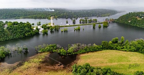 Swan Creek at Shadow Rock Park – Forsyth, Missouri 🌧️🌊
Swan Creek spilling into Bull Shoals (or White River, depending who yo...