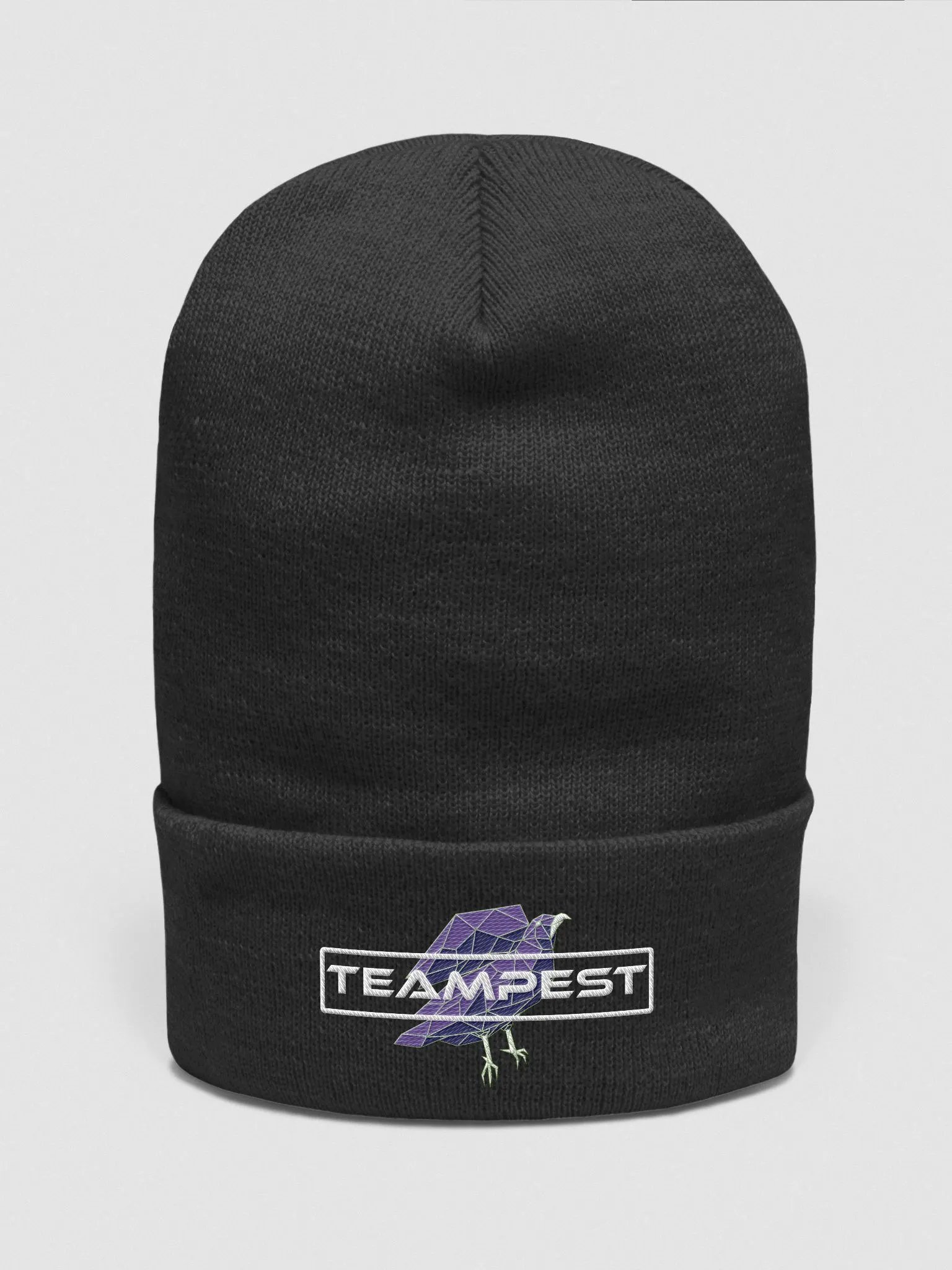TeamPEST Black Beanie product image (1)