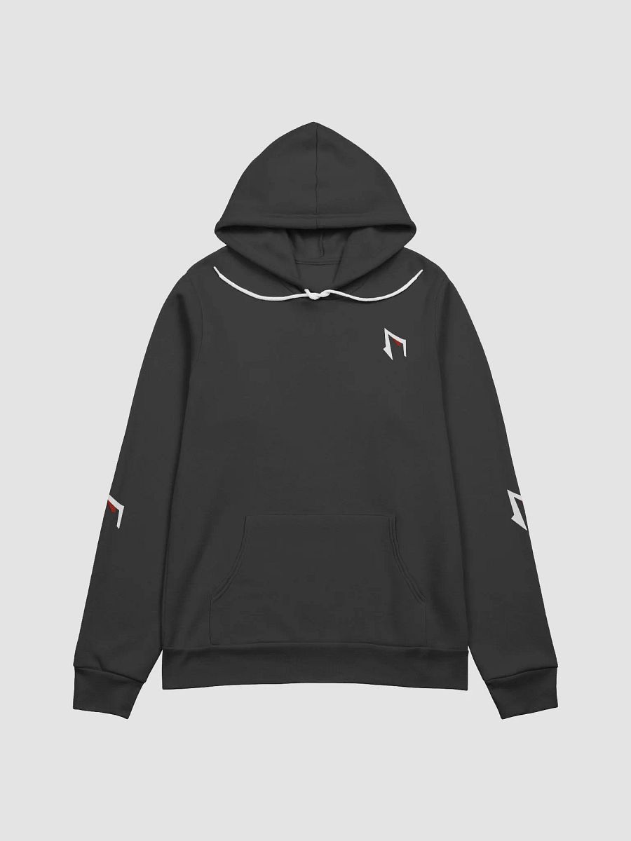 FAME PRODUCTIONS MULTI LOGO ULTRA SOFT HOODIE product image (3)