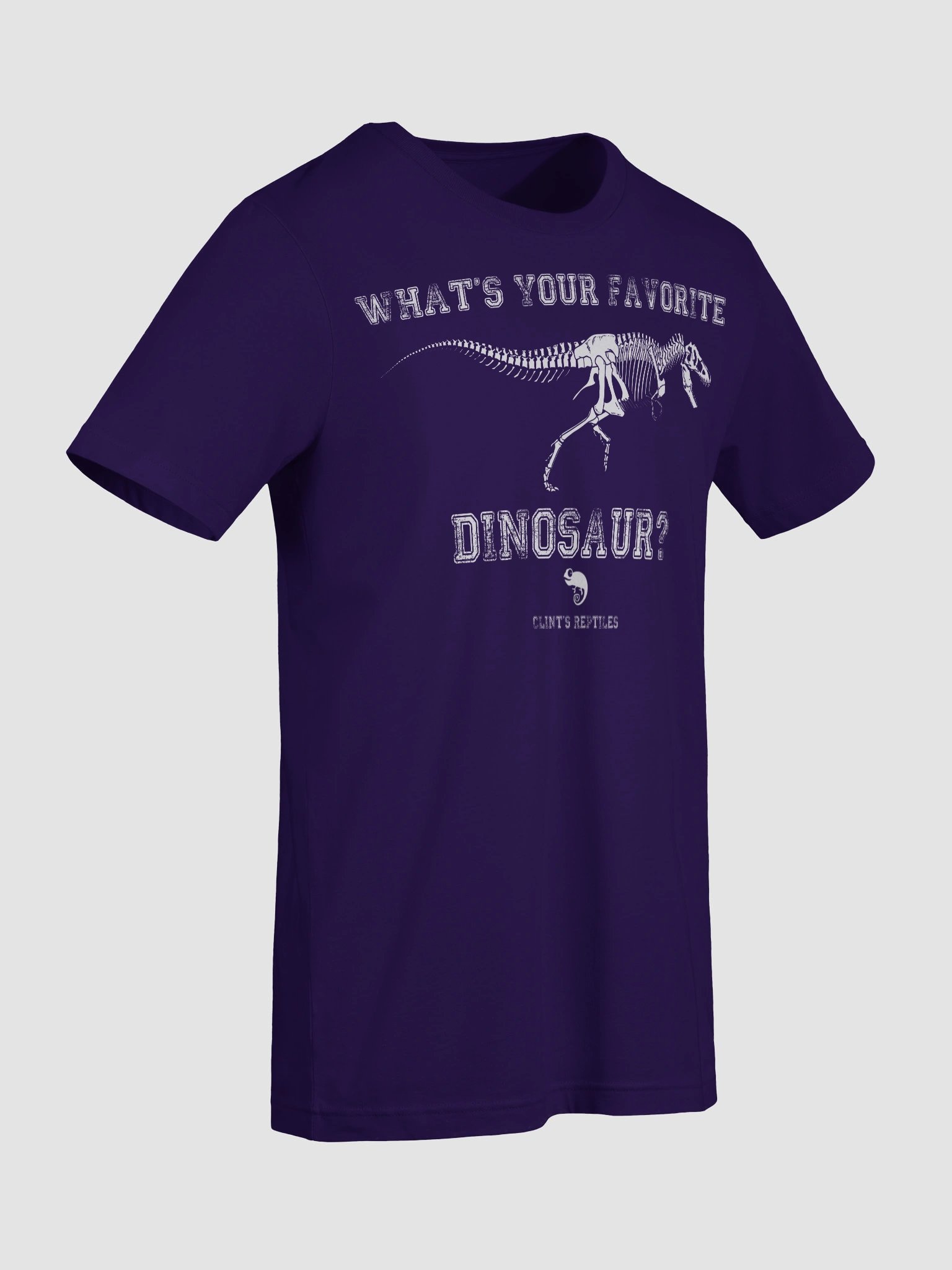 What's Your Favorite Dinosaur? T. rex Shirt product image (93)