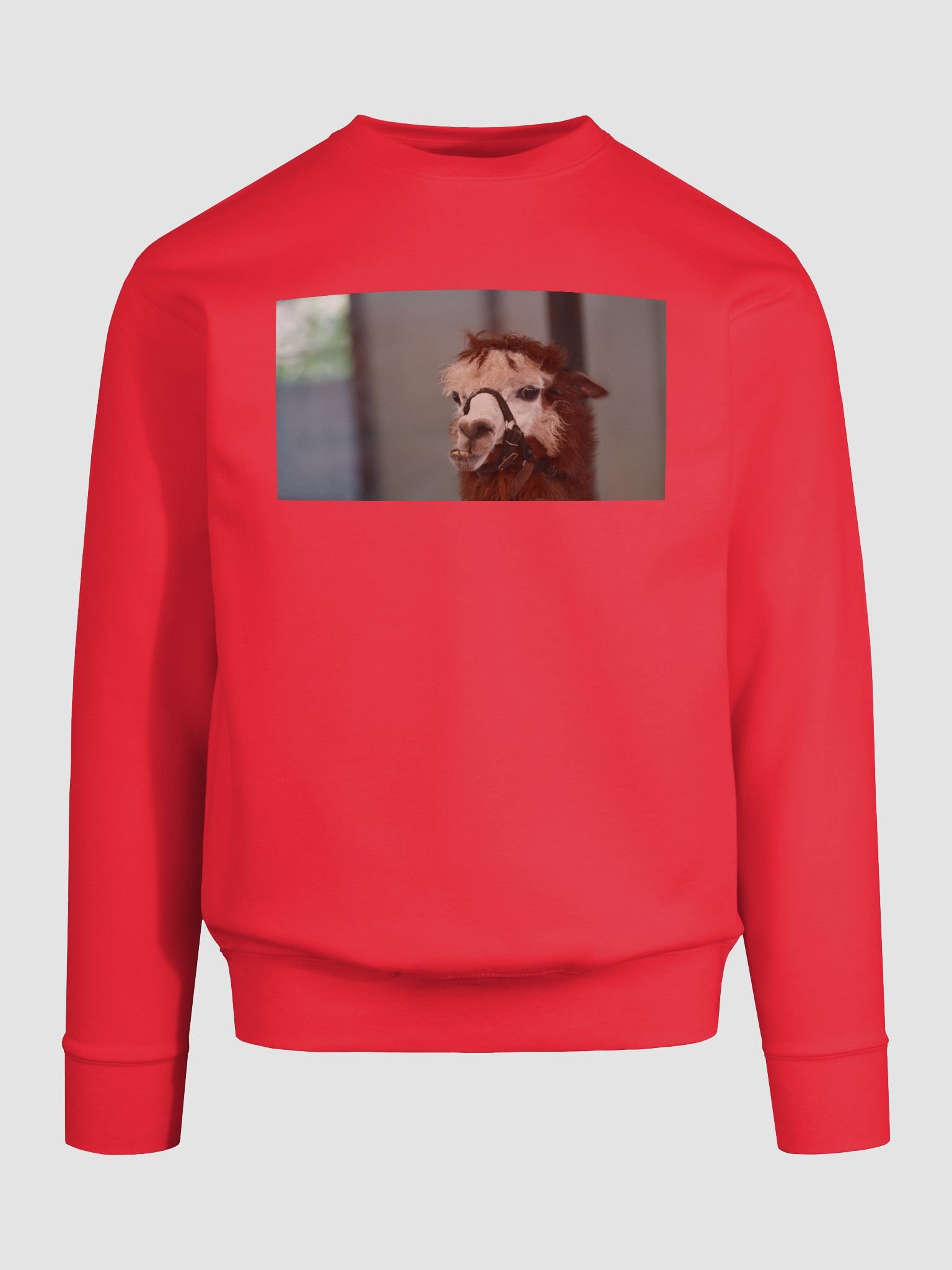 Halter-Clad Llama Cotton Sweatshirt product image (9)