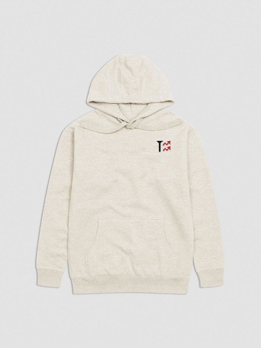 TX Hoodie product image (3)