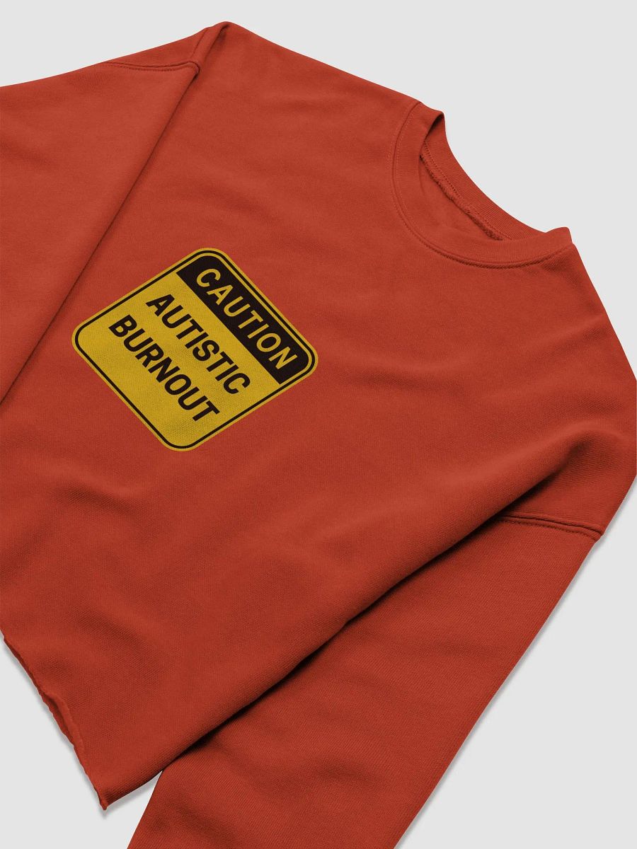 CAUTION: ASD BURNOUT cropped crewneck product image (1)