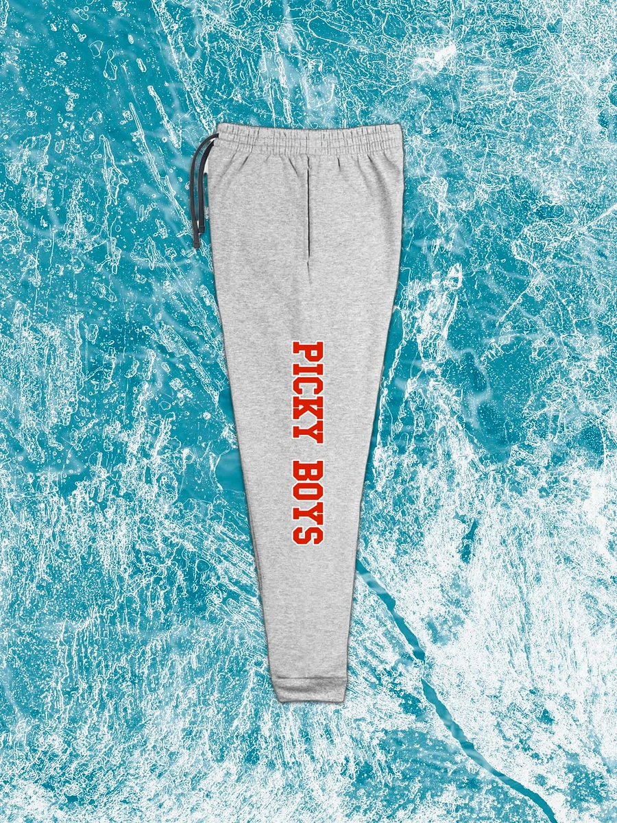 Picky Boys Sweatpants product image (1)