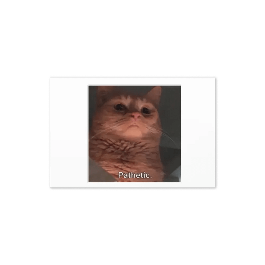 Greeting Card: Meme Cats product image (22)