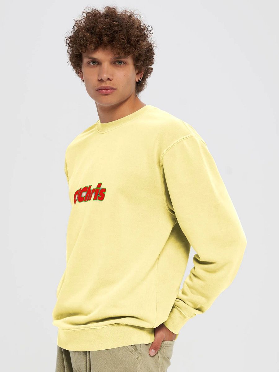 CSChris Premium SweatShirt with CS back logo product image (59)