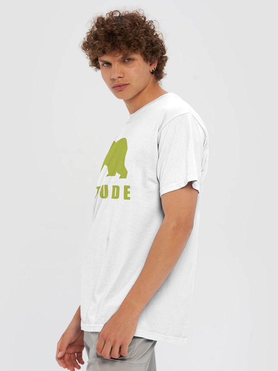 GREEN DESIGN SOLITUDE Comfort Colors Garment-Dyed Heavyweight T-Shirt product image (70)