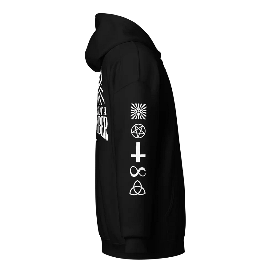 Definitely Not A Cult Member Hoodie (Black) product image (4)