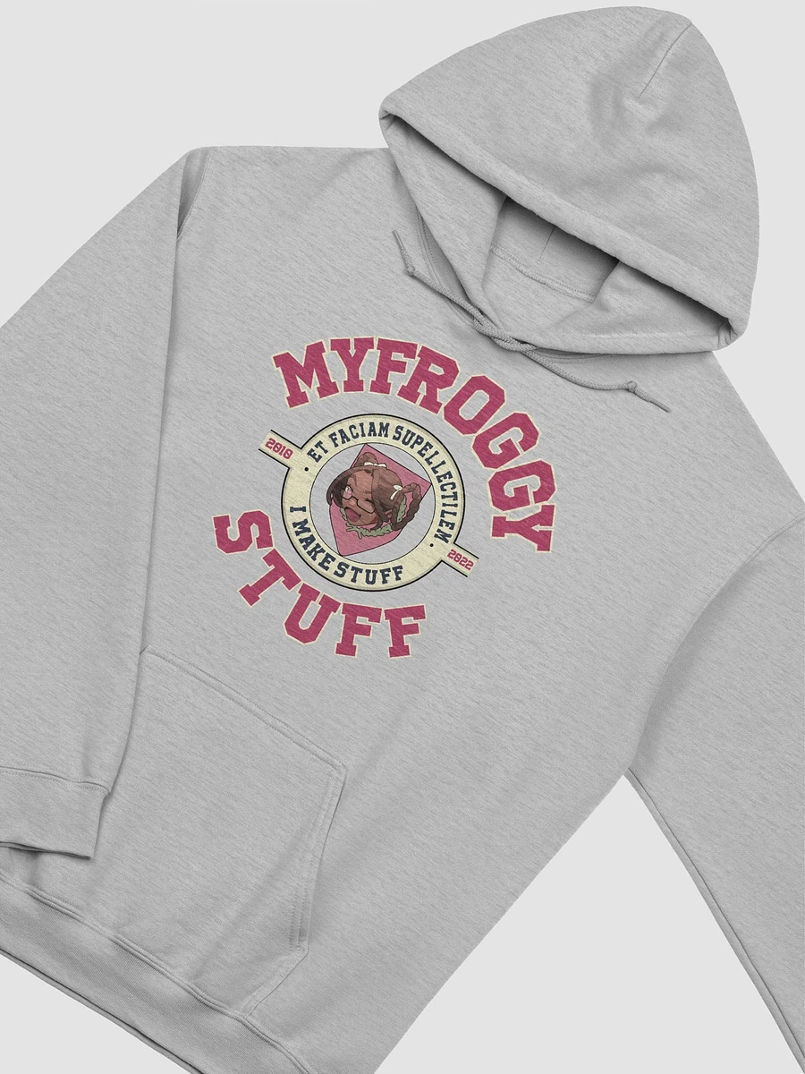myfroggystuff uni hoodie product image (3)