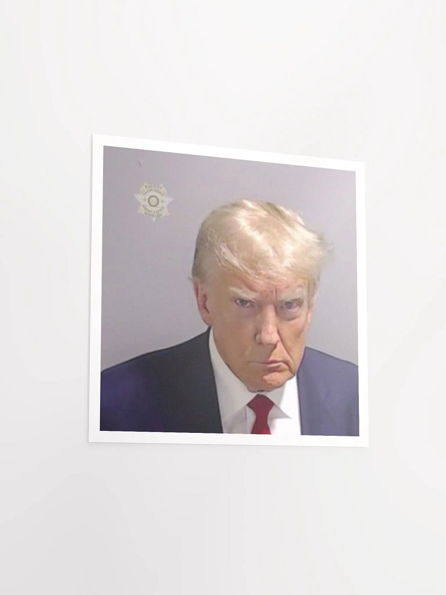 FAFO Poster product image (13)