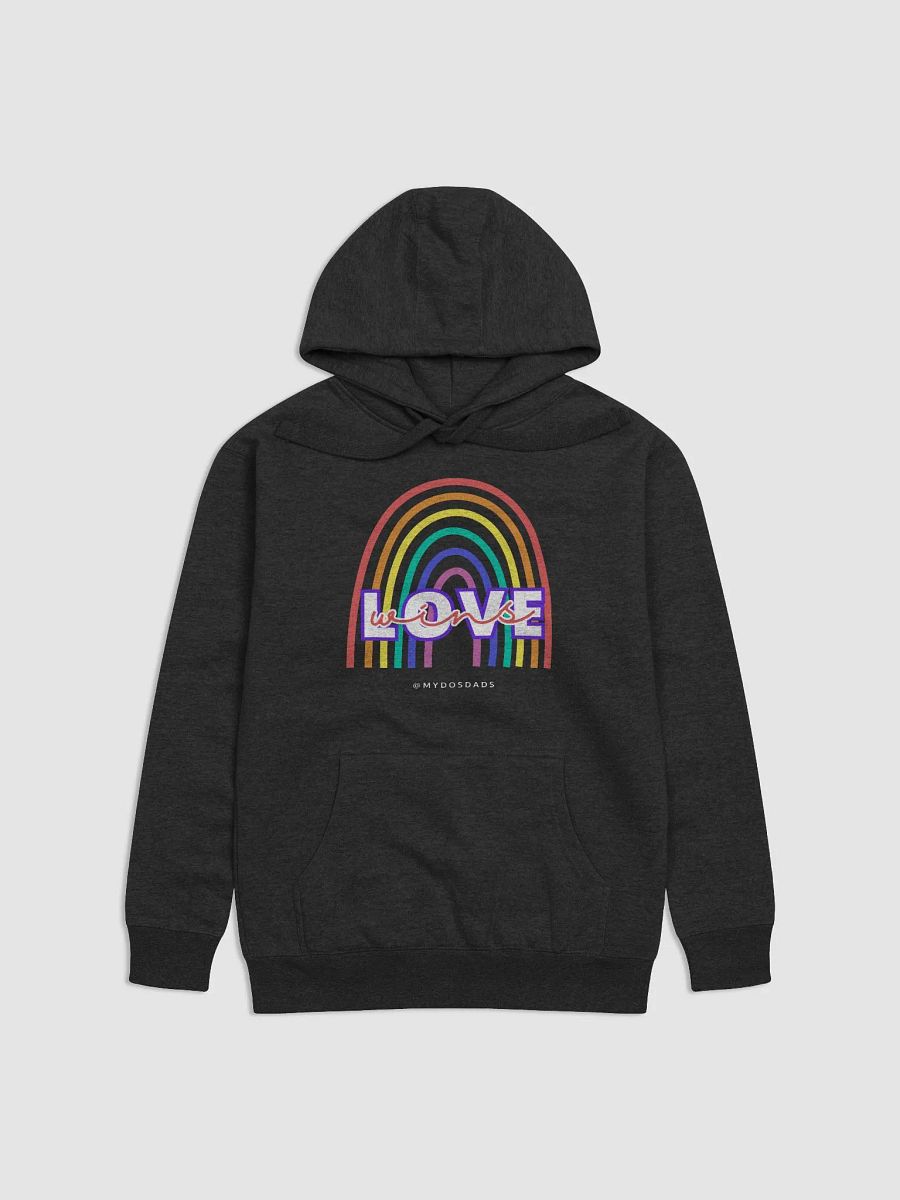 Love Wins Premium Hoodie product image (1)