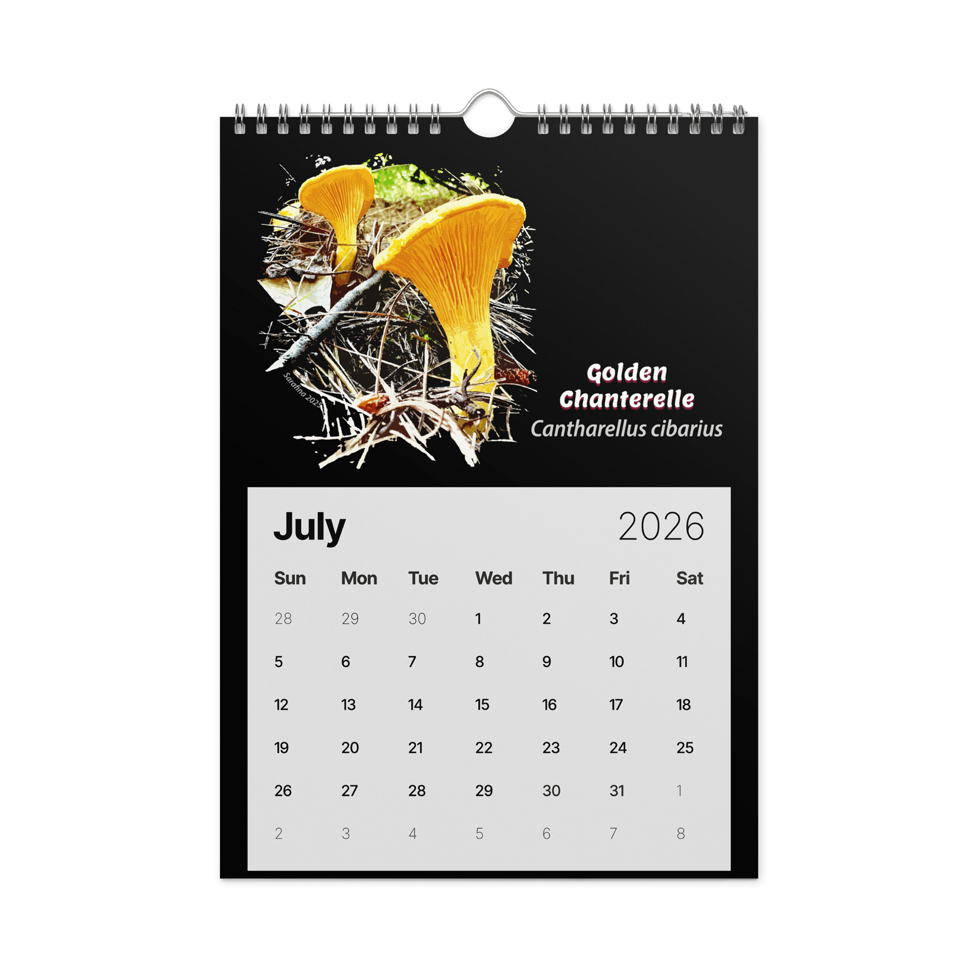 2026 Calendar (A4) product image (8)