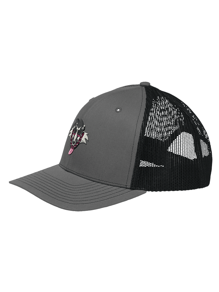 Obstagoonin' Trucker Hat in grey and black product image (2)