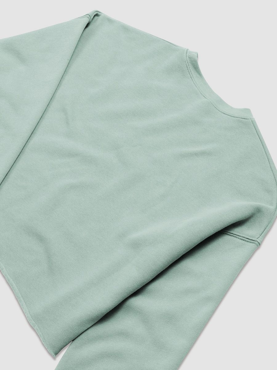 Player 1 cropped sweatshirt product image (12)