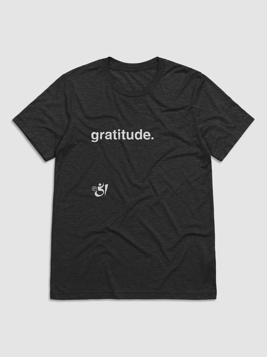 gratitude. tee product image (1)