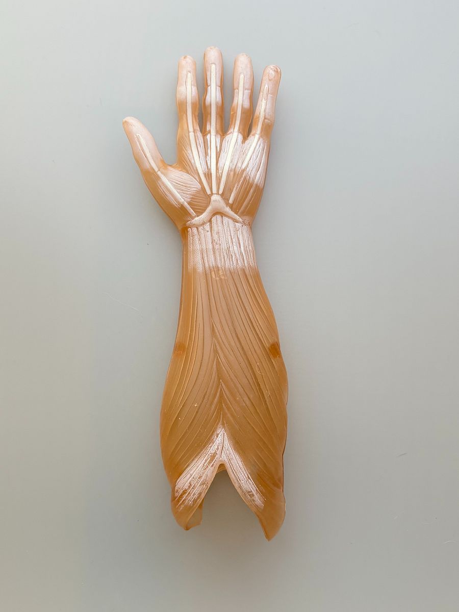 Plastic model arm vintage product image (5)
