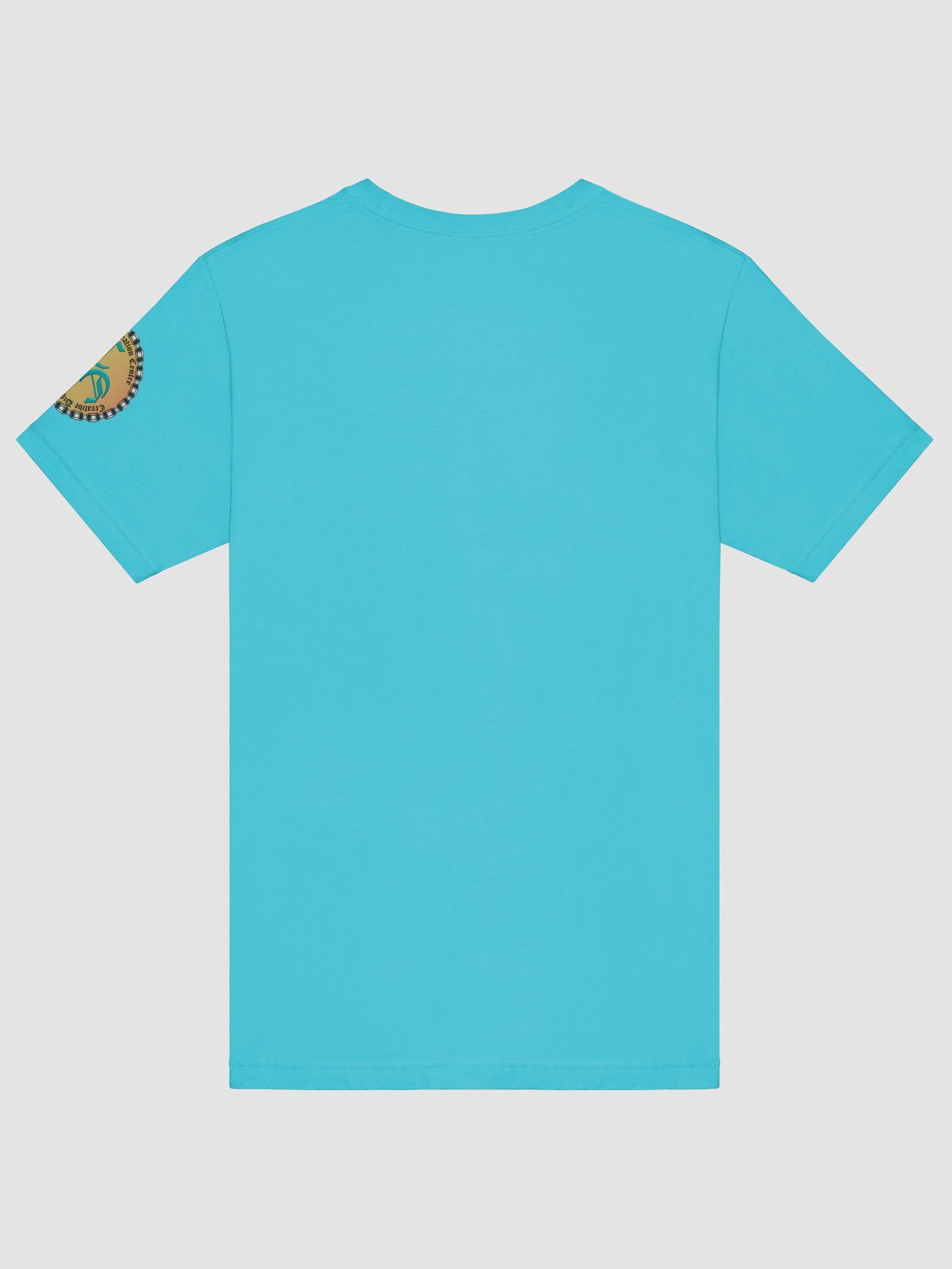 I'm not Arguing (Male) Bella+Canvas Supersoft T-Shirt Colors (6) product image (42)