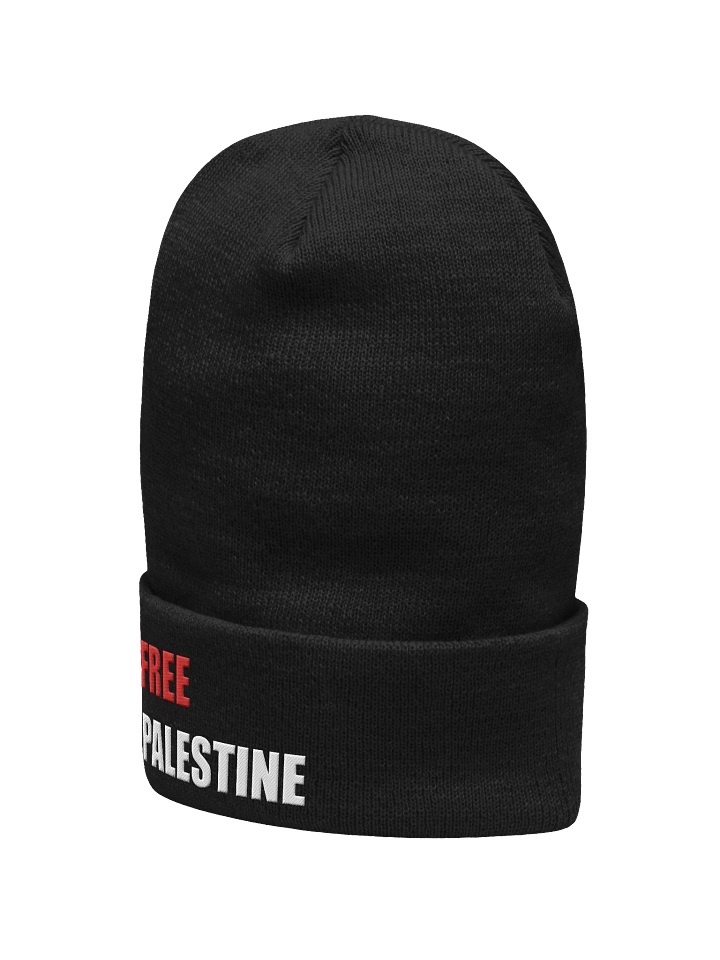 Free Palestine - Beanie product image (2)