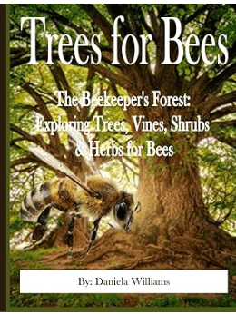 Trees for Bees: The Beekeeper's Forest: Exploring Trees for Bees product image (1)