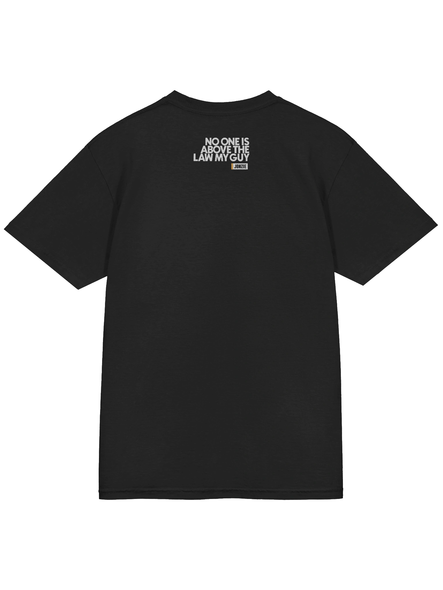 NO ONE IS ABOVE THE LAW T Shirt product image (4)