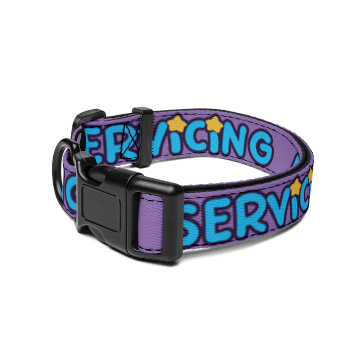 SUS COLLAR product image (2)