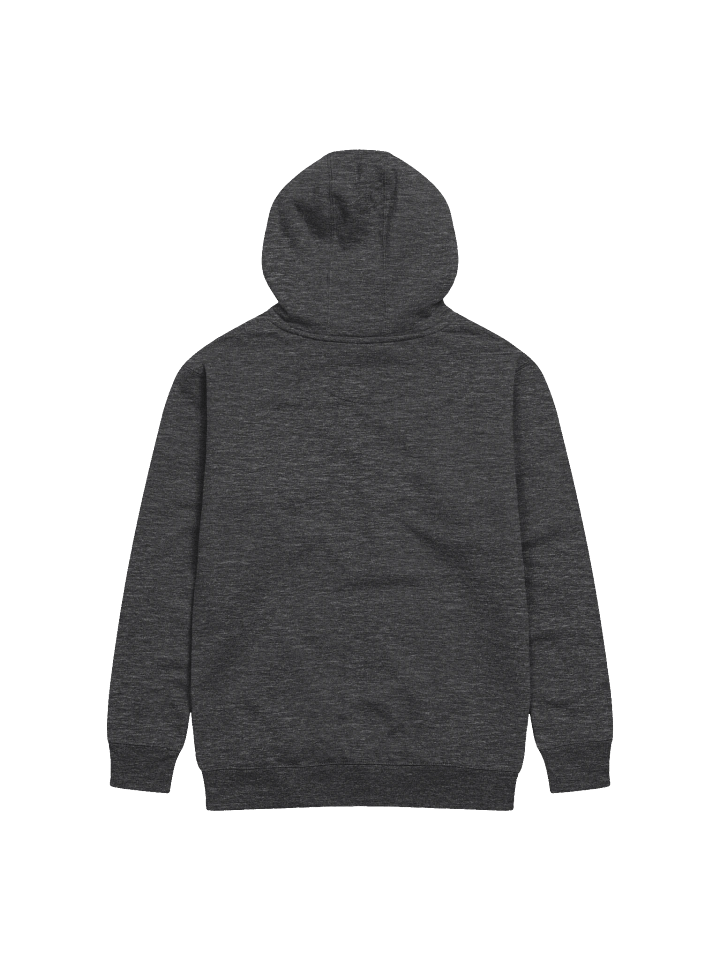 Group Action Roll Unisex Hoodie product image (2)