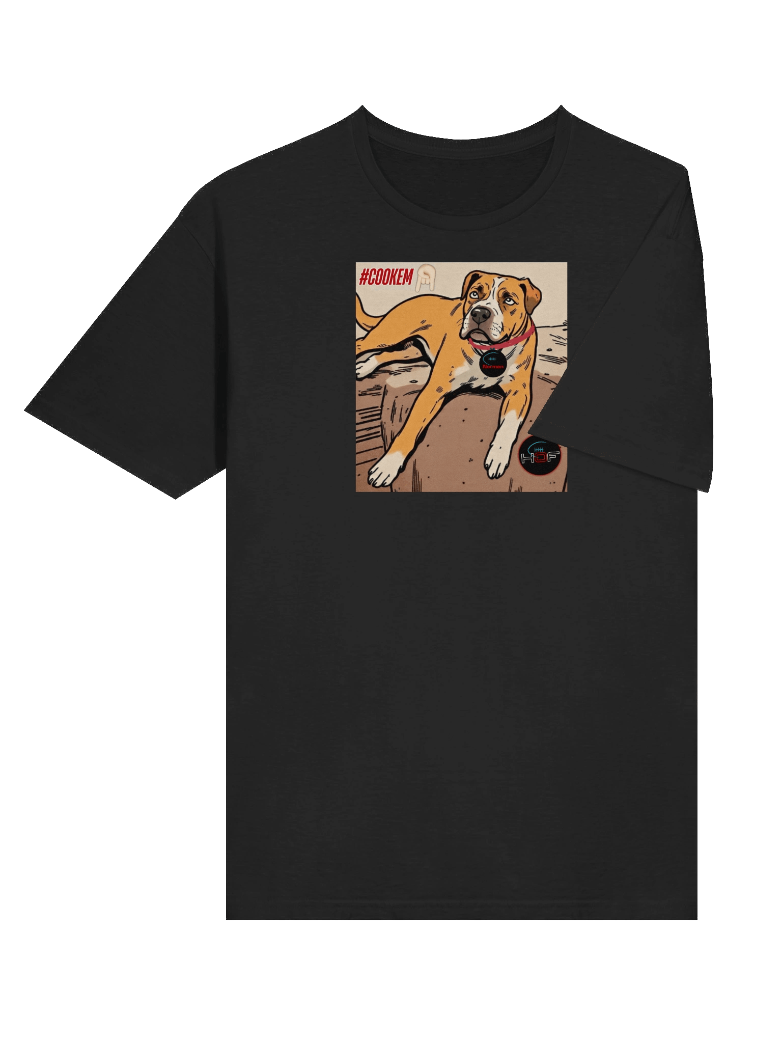 Norman "Cook 'em" Soft Tee product image (27)