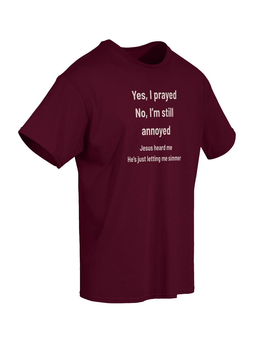 Yes, I Prayed — No, I’m Still Annoyed | Funny Faith T-Shirt for the Spiritually Simmering product image (12)