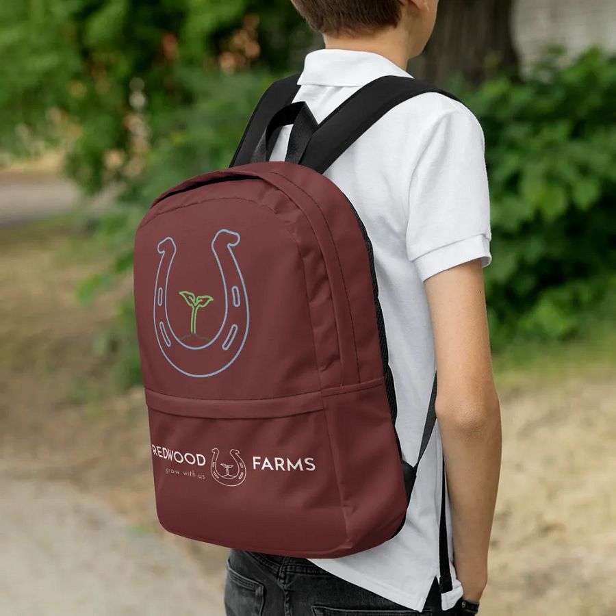 Back packs product image (10)
