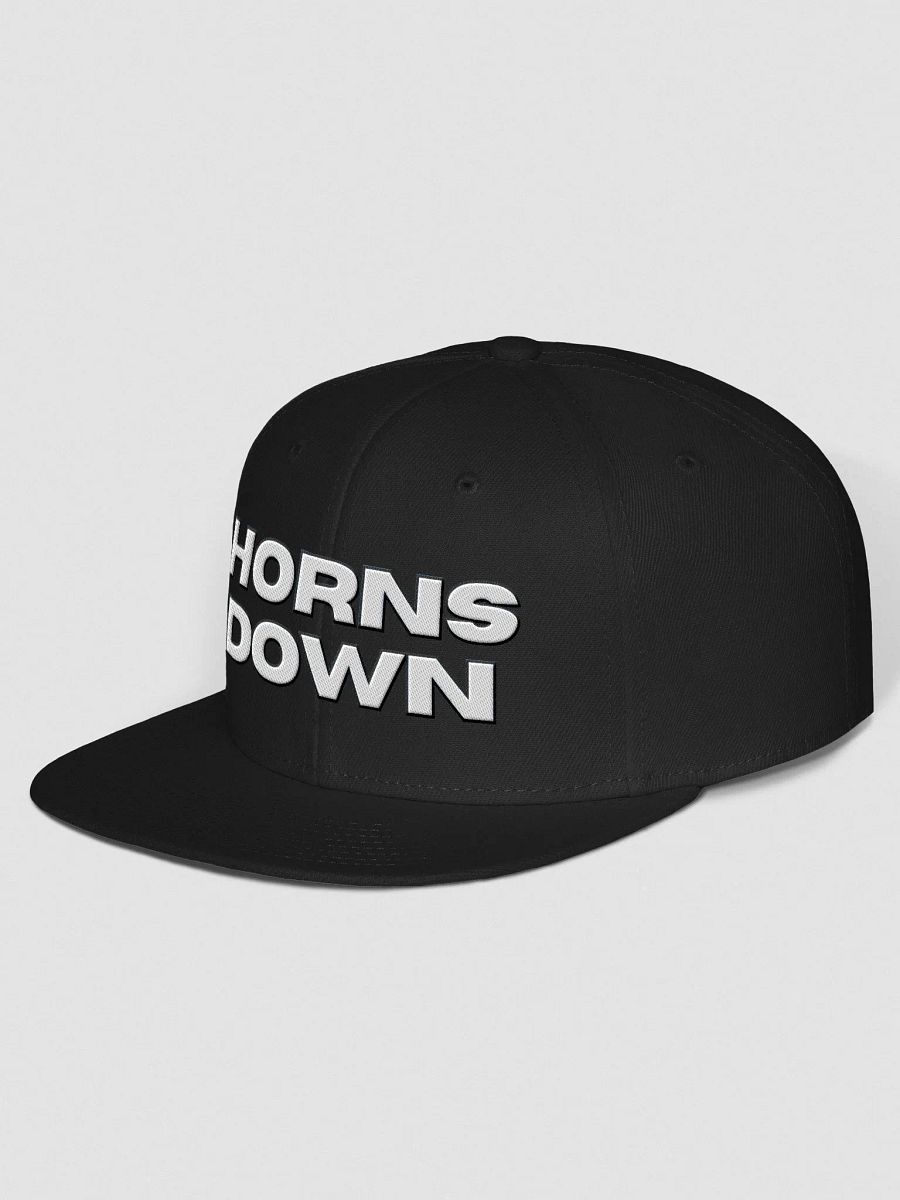 Horns Down LETTERS Flat Bill Hat product image (2)