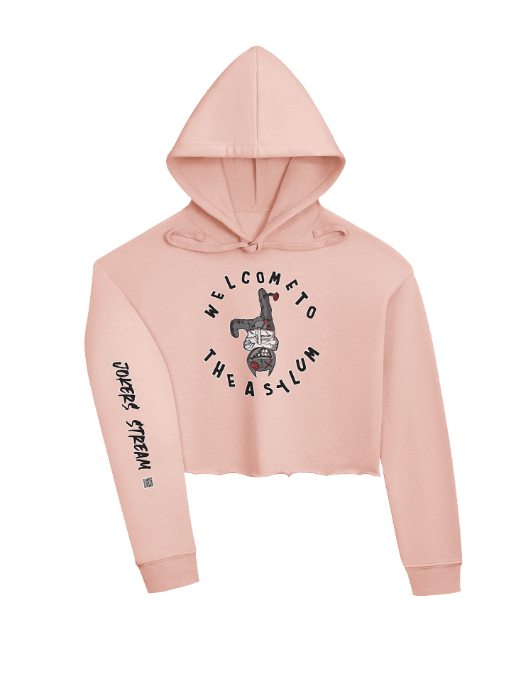 Asylum Crop top Hoodie product image (1)