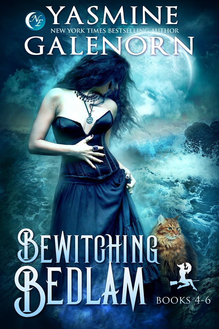 Bewitching Bedlam Books 4-6 product image (1)