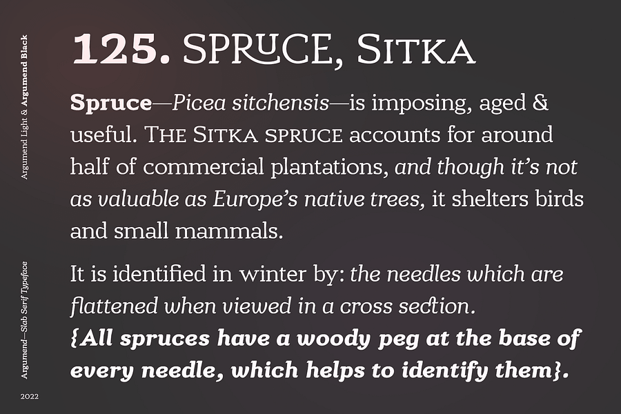 Argumend | A Humanistic Slab Serif Typeface product image (4)