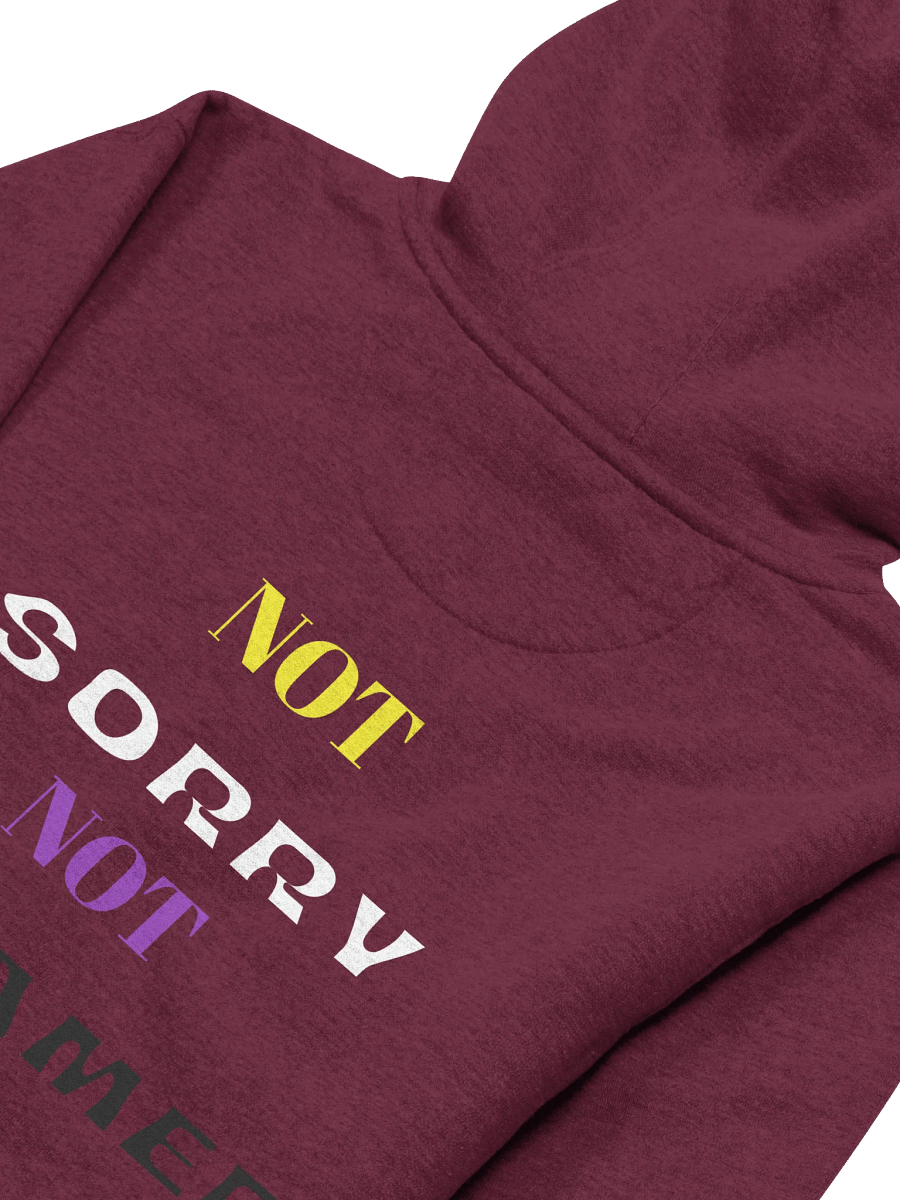 Not Sorry Not Ashamed (Enby Edition) product image (20)