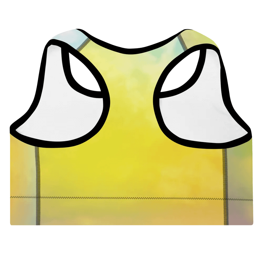 Blur cloud rainbow Design Padded Sports Bra - v9 product image (8)
