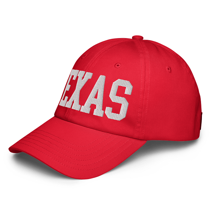 Texas State Embroidered Hat by Under Armour product image (14)