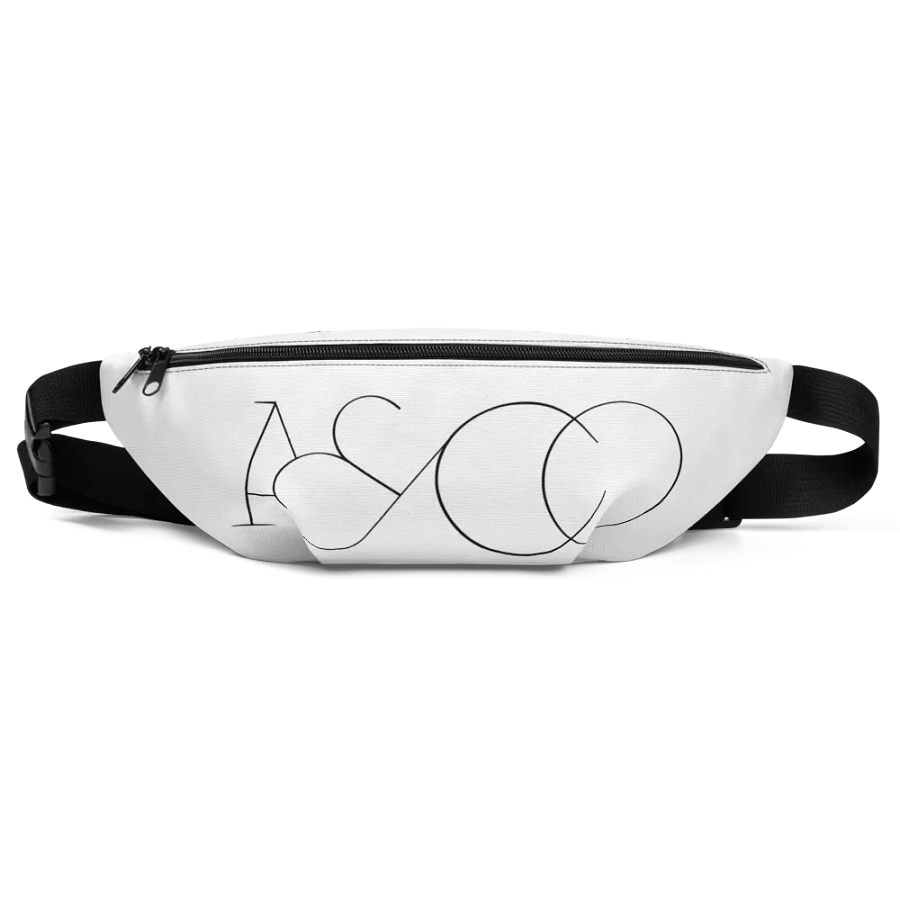 Fanny Pack product image (1)