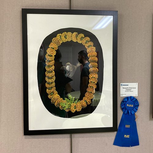 Tonight was the opening reception of the @artsdouglas national juried show, and I am so honored to say that my painting ‘Mosq...