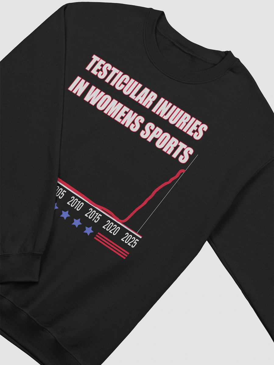 Testicular Injuries In Women Sports Sweatshirt product image (3)