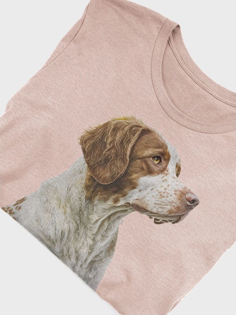 Brittany Spaniel product image (3)